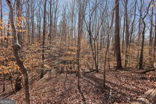 $185,000 | 0 Winford Smith Road, Unit 14, Athens, GA 30607