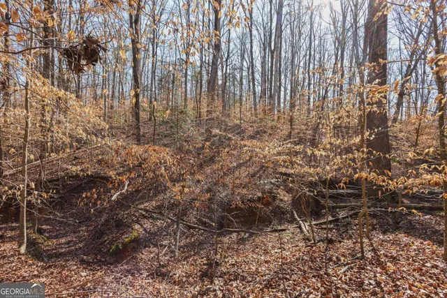 $185,000 | 0 Winford Smith Road, Unit 14, Athens, GA 30607