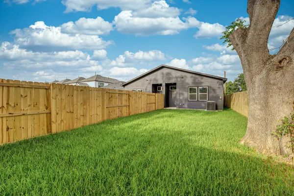 a view of a backyard with a large tree