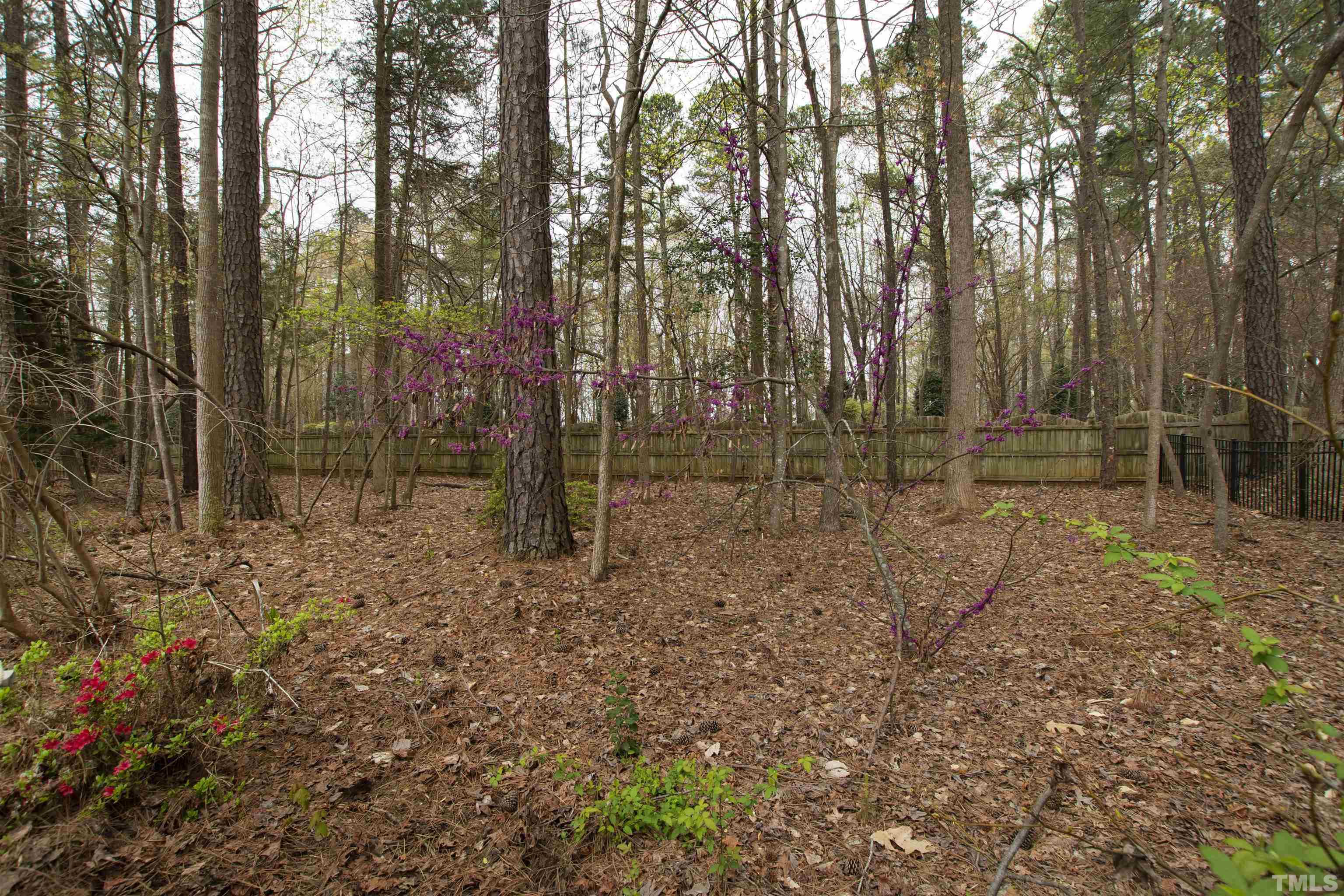 1904 Bowling Green Trail Raleigh, NC 27613 - Photo 41 of 43 a view of outdoor space with trees