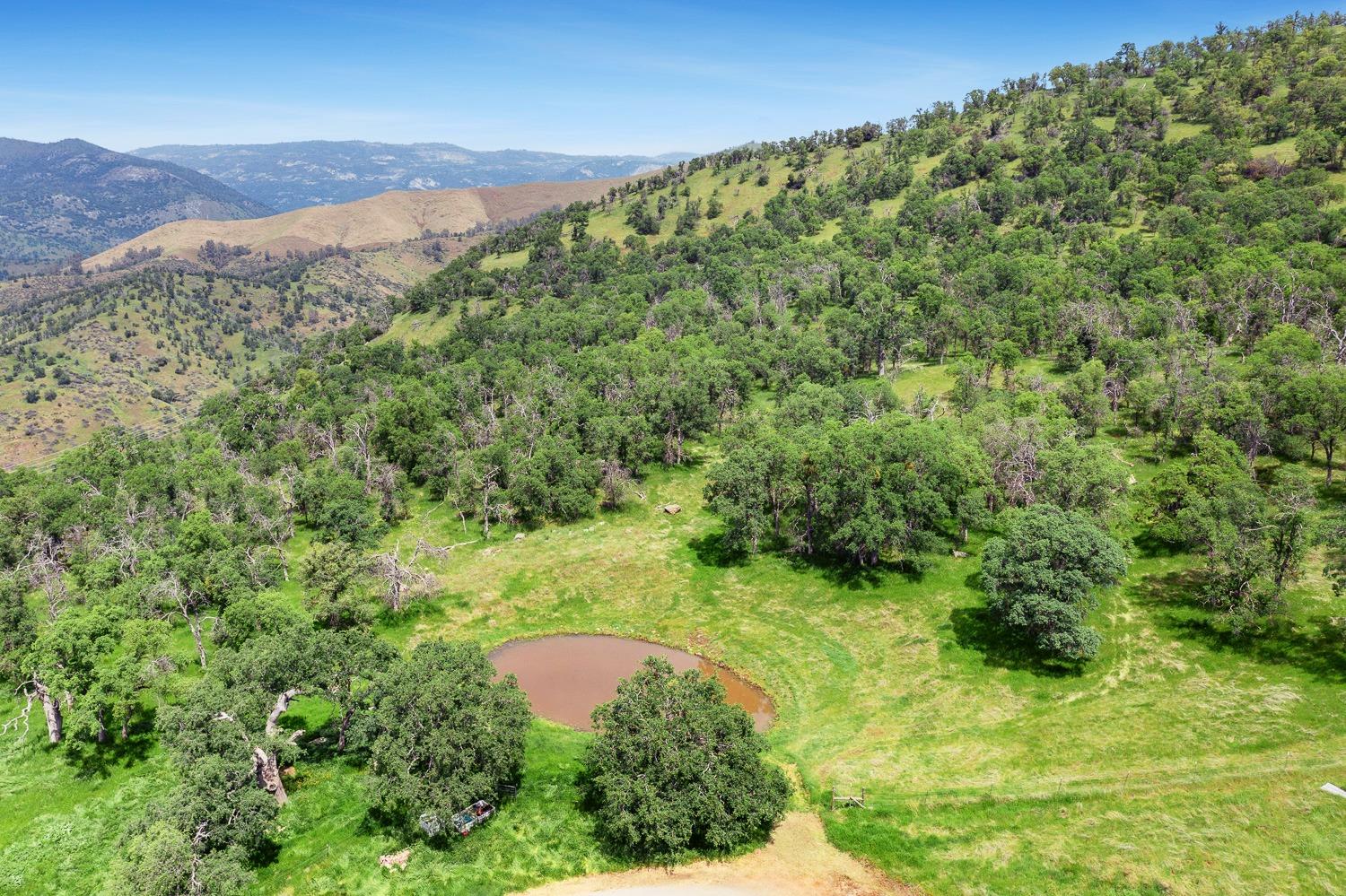 28383 Shady Oaks Road Clovis, CA 93619 - Photo 50 of 61