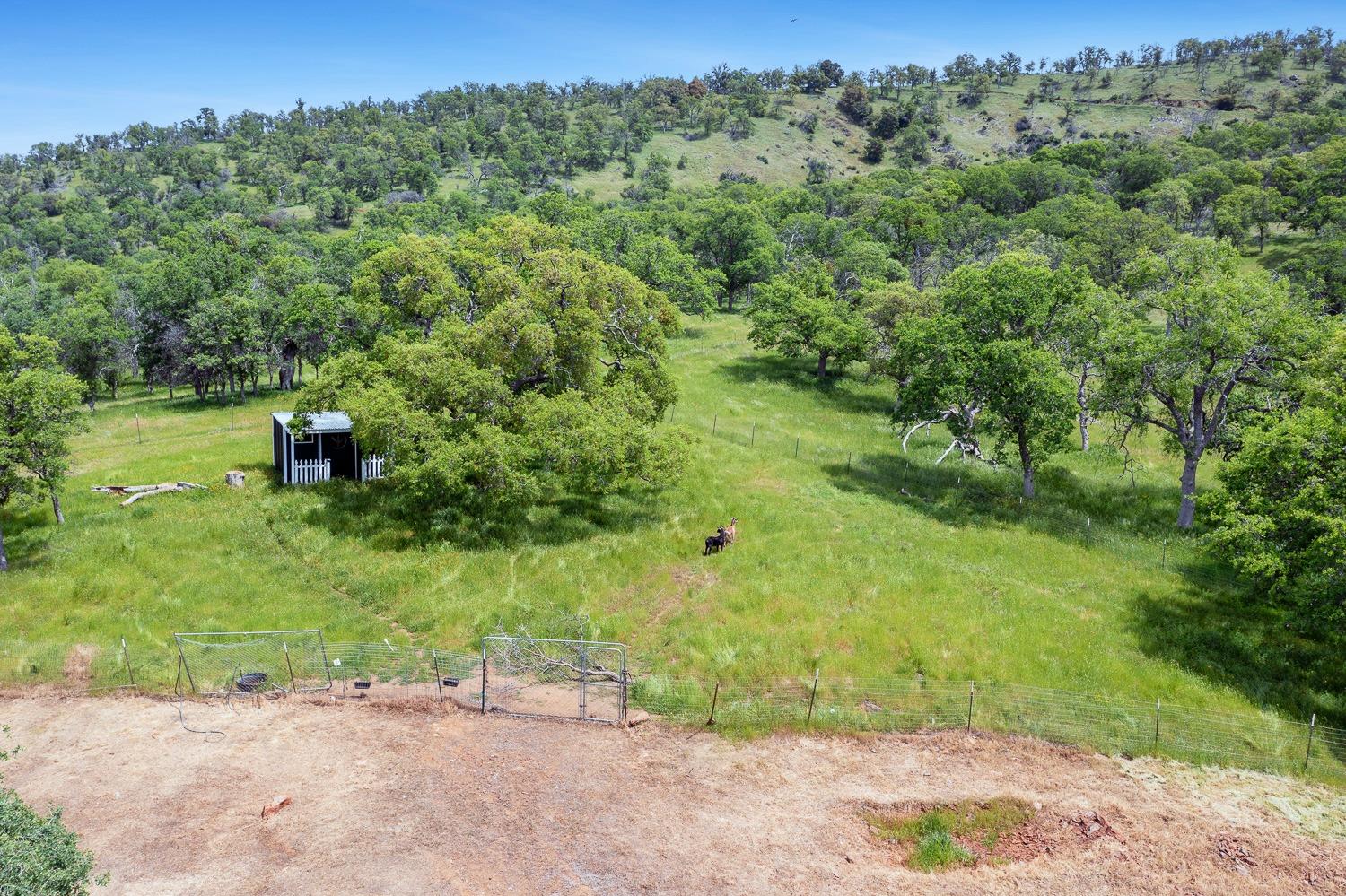 28383 Shady Oaks Road Clovis, CA 93619 - Photo 58 of 61