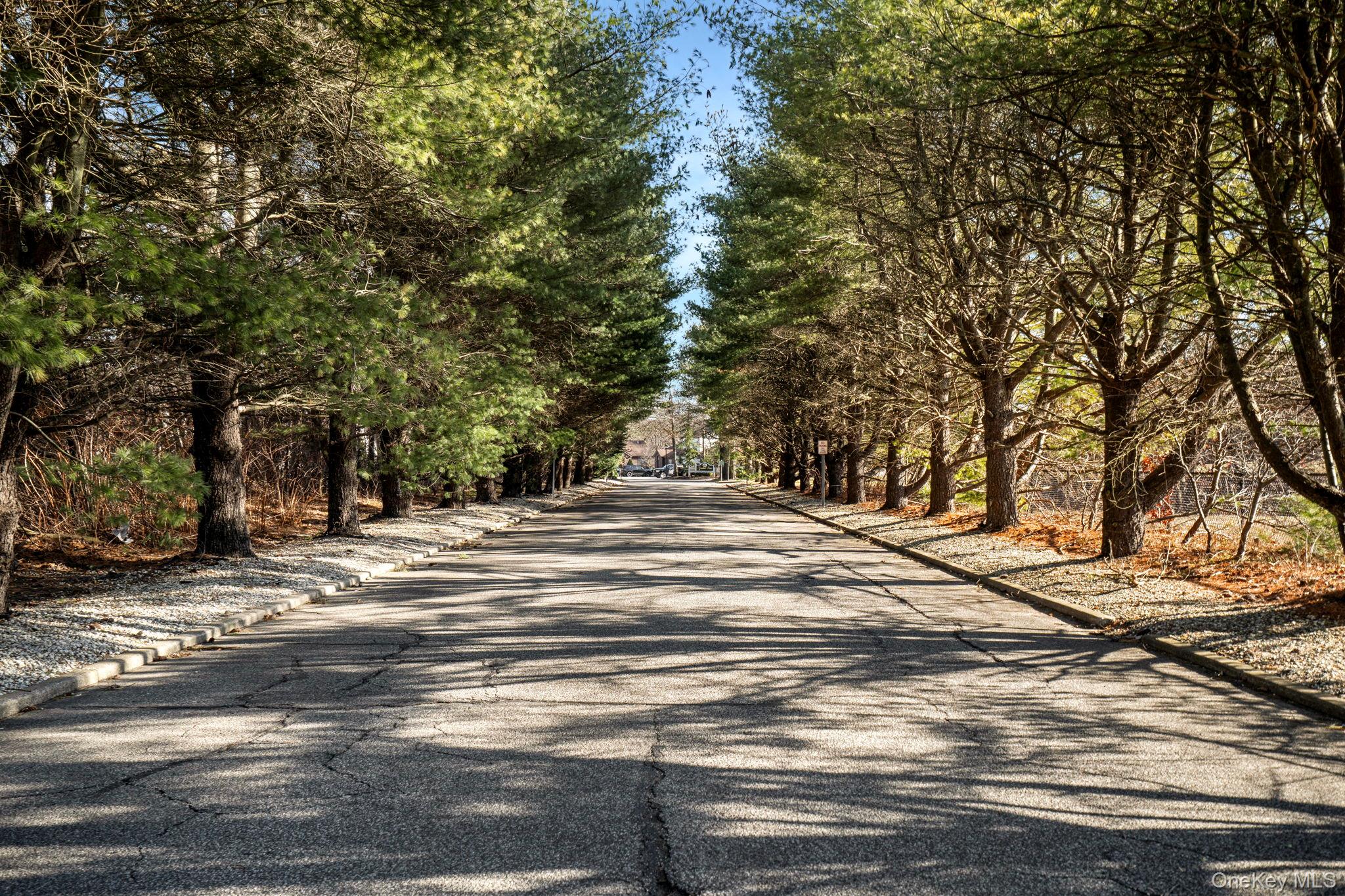 36 Blue Point Road East Holtsville, NY 11742 - Photo 14 of 14