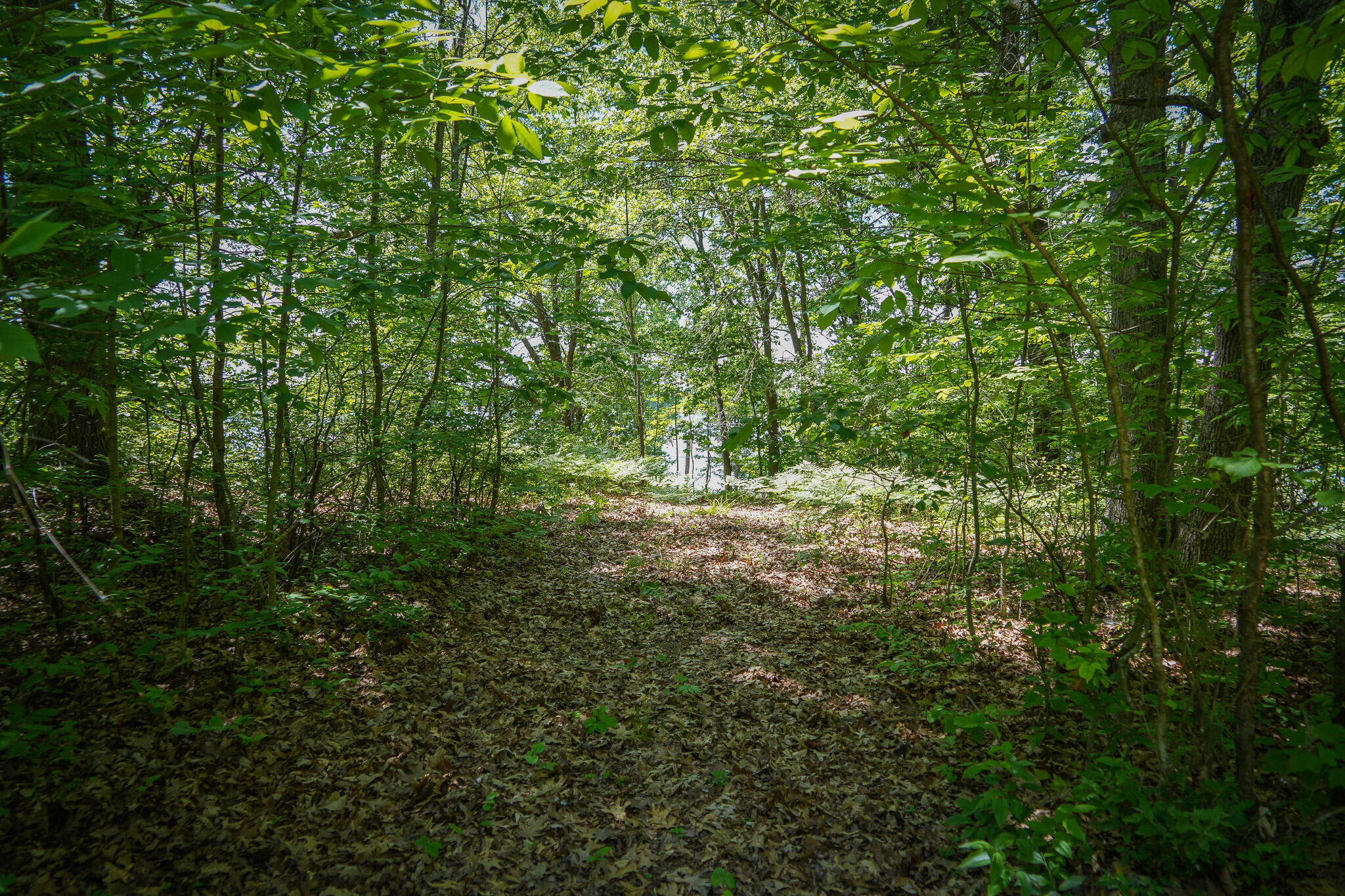 14308 Church Road Howard City, MI 49329 - Photo 19 of 52 DSC00187