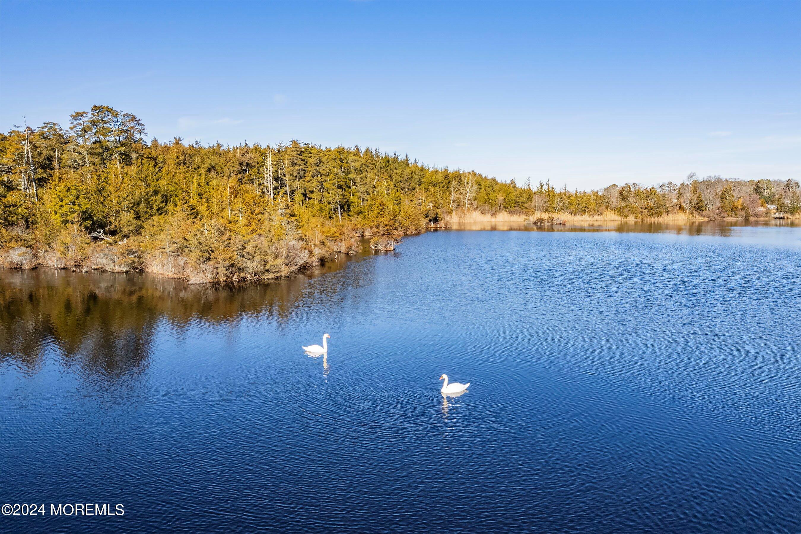1507 Whitcomb Road Forked River, NJ 08731 - Photo 26 of 30 a view of a lake