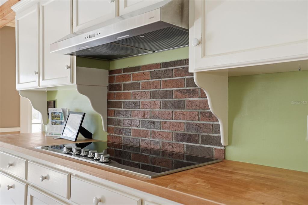 3330 Endsley Road Brooksville, FL 34604 - Photo 57 of 97