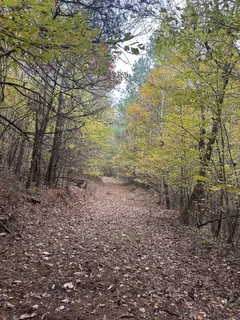 $269,900 | 316 Arbor, Linden, TN 37096