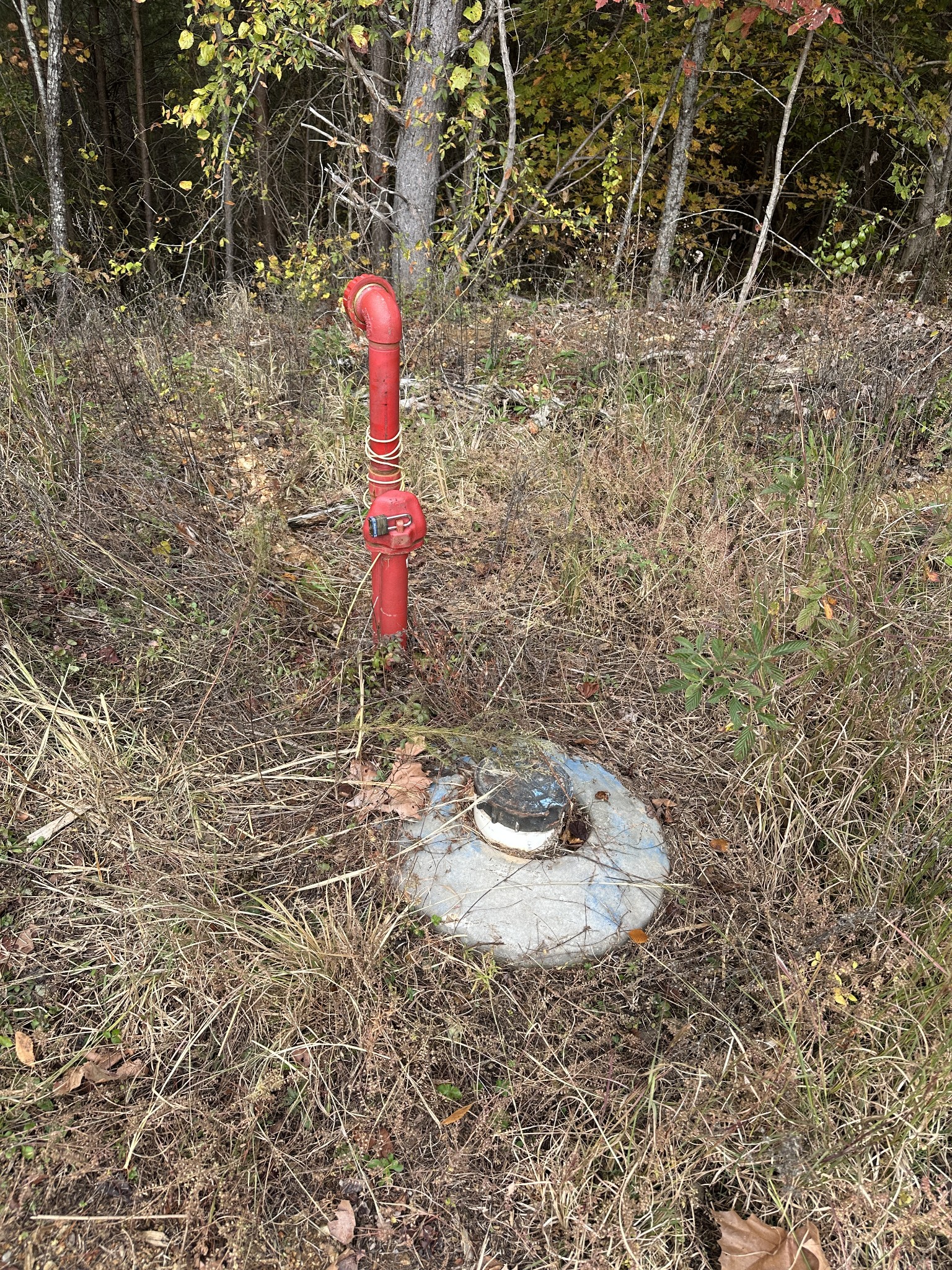 316 Arbor Linden, TN 37096 - Photo 5 of 12