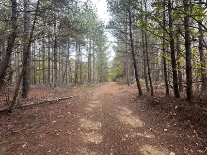 $269,900 | 316 Arbor, Linden, TN 37096