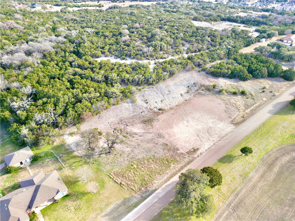 0 Cedar Ridge Road Gatesville, TX 76528 - Photo 7 of 9