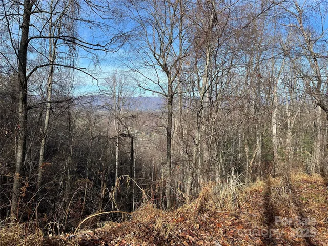 a view of a backyard of the house