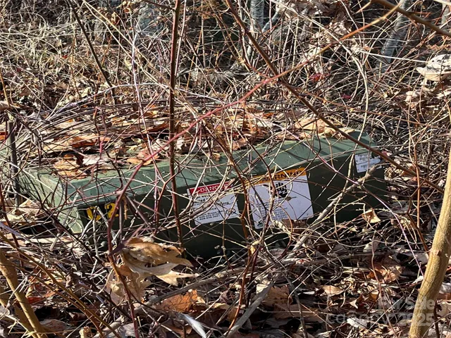 a building view with a tree