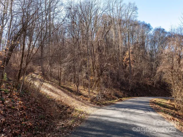 a view of a yard with large trees