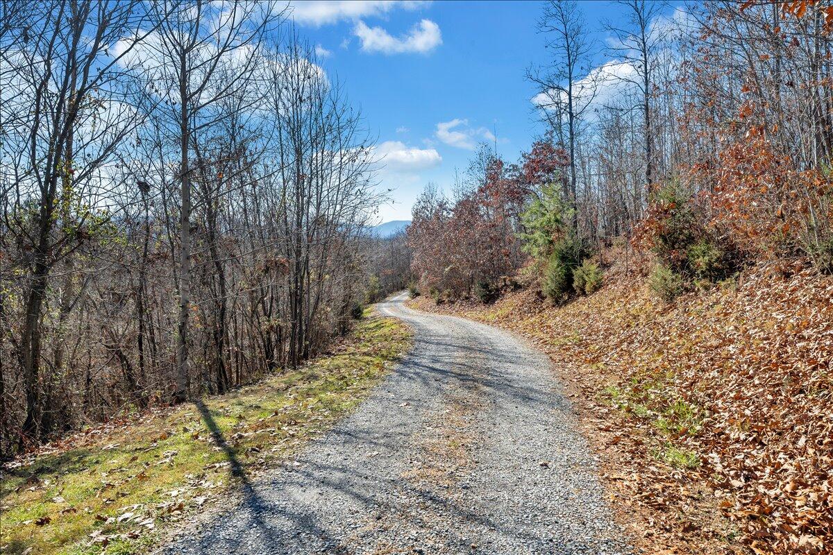 242 Trevey Road Buchanan, VA 24066 - Photo 58 of 126 56-MIB01737