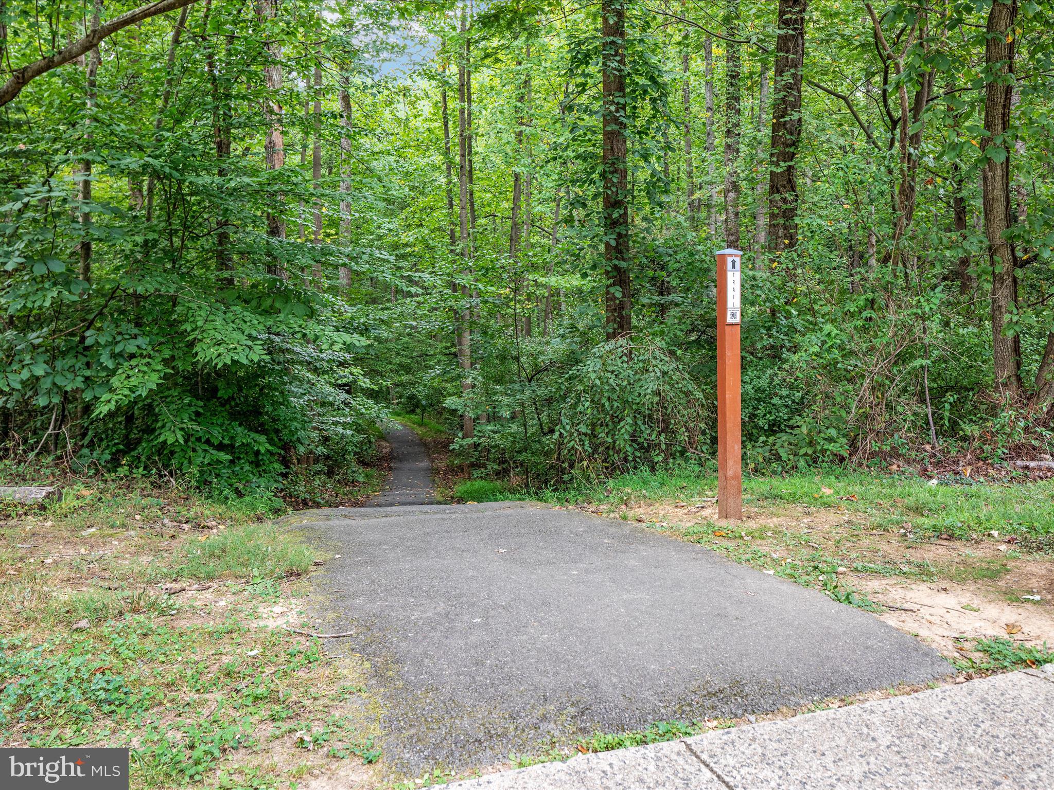 8009 Sleepy View Lane Springfield, VA 22153 - Photo 45 of 54 2E6A8948_8009 Sleepy View Ln -Absolute Altitude -