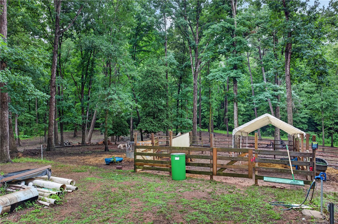 1757 Old Dobbin Bridge Road Townville, SC 29689 - Photo 29 of 36