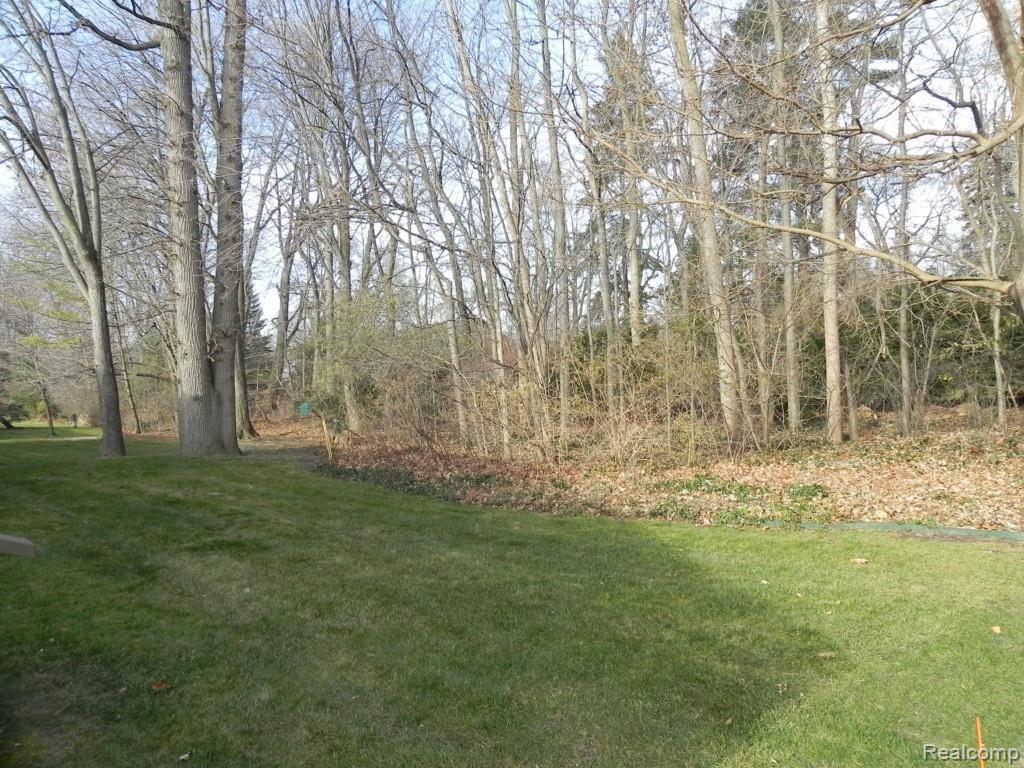 23175 Farmington Road Farmington, MI 48336 - Photo 16 of 31 View from deck at rear of living room