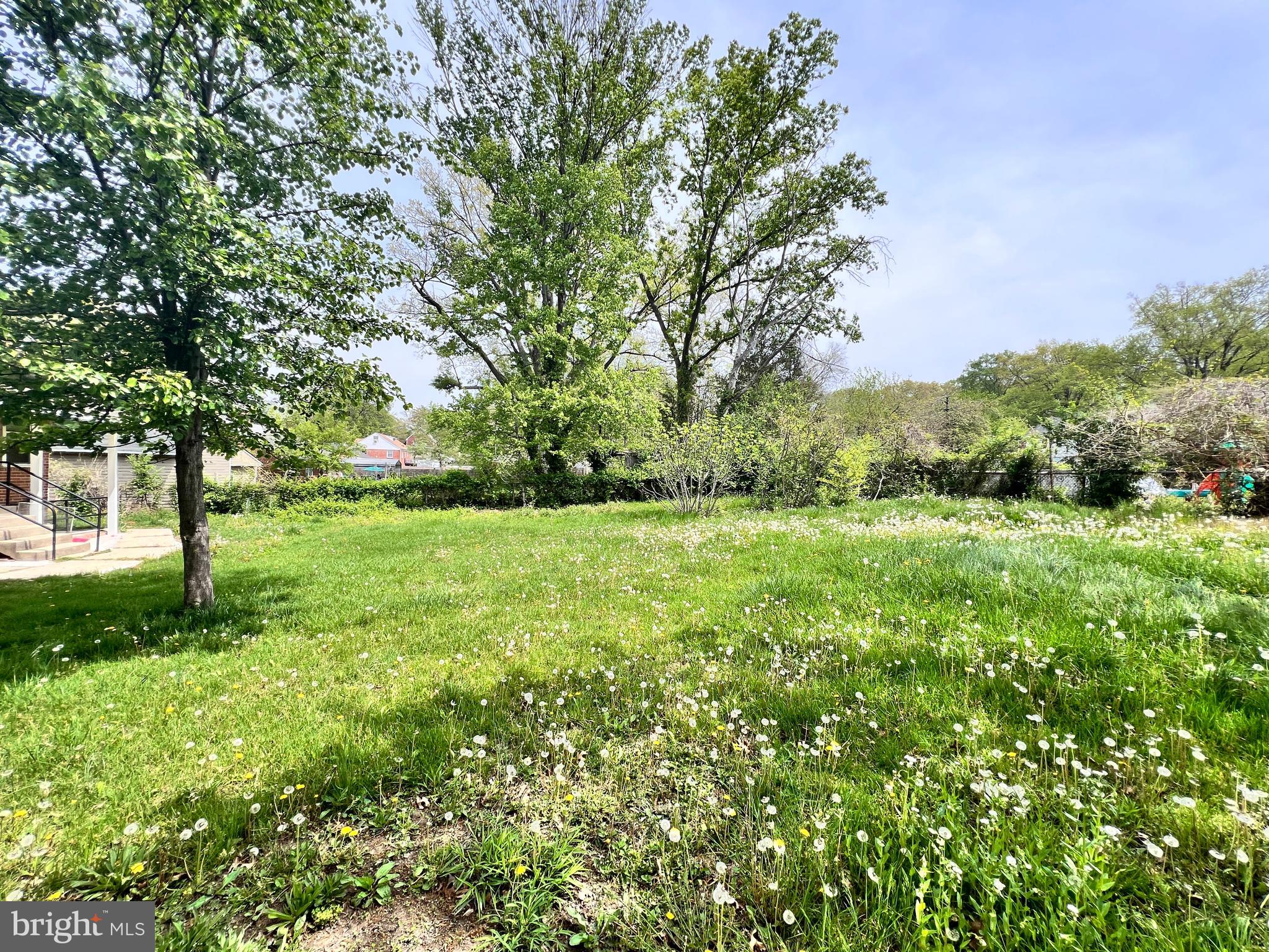 9227 Riggs Road Adelphi, MD 20783 - Photo 70 of 78 a view of yard with green space