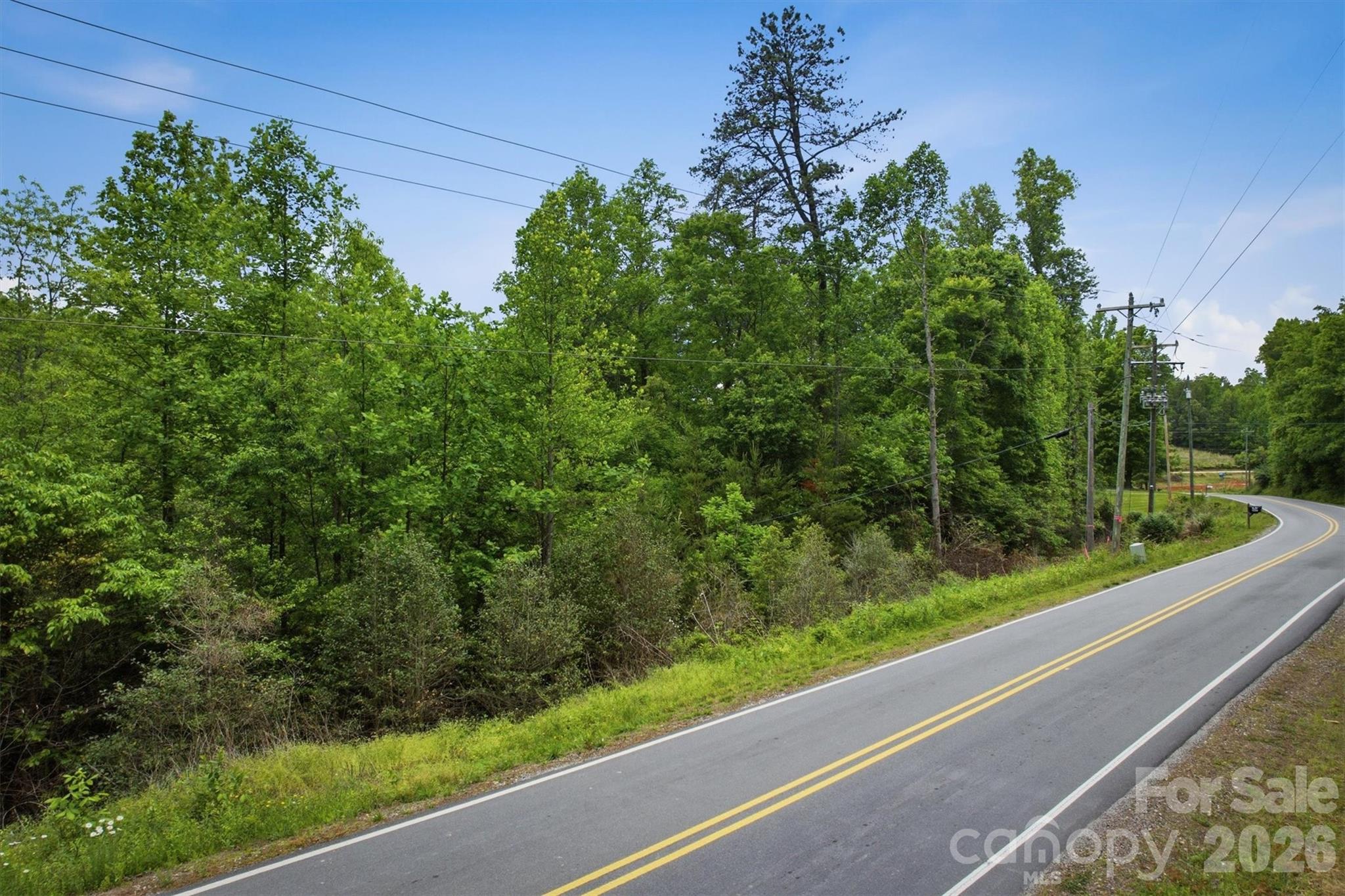 1350 Lavender Road Old Fort, NC 28762 - Photo 3 of 13