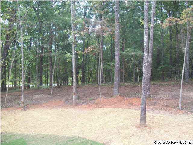 143 Highland Ridge Drive, Unit 31 Chelsea, AL 35043 - Photo 19 of 20