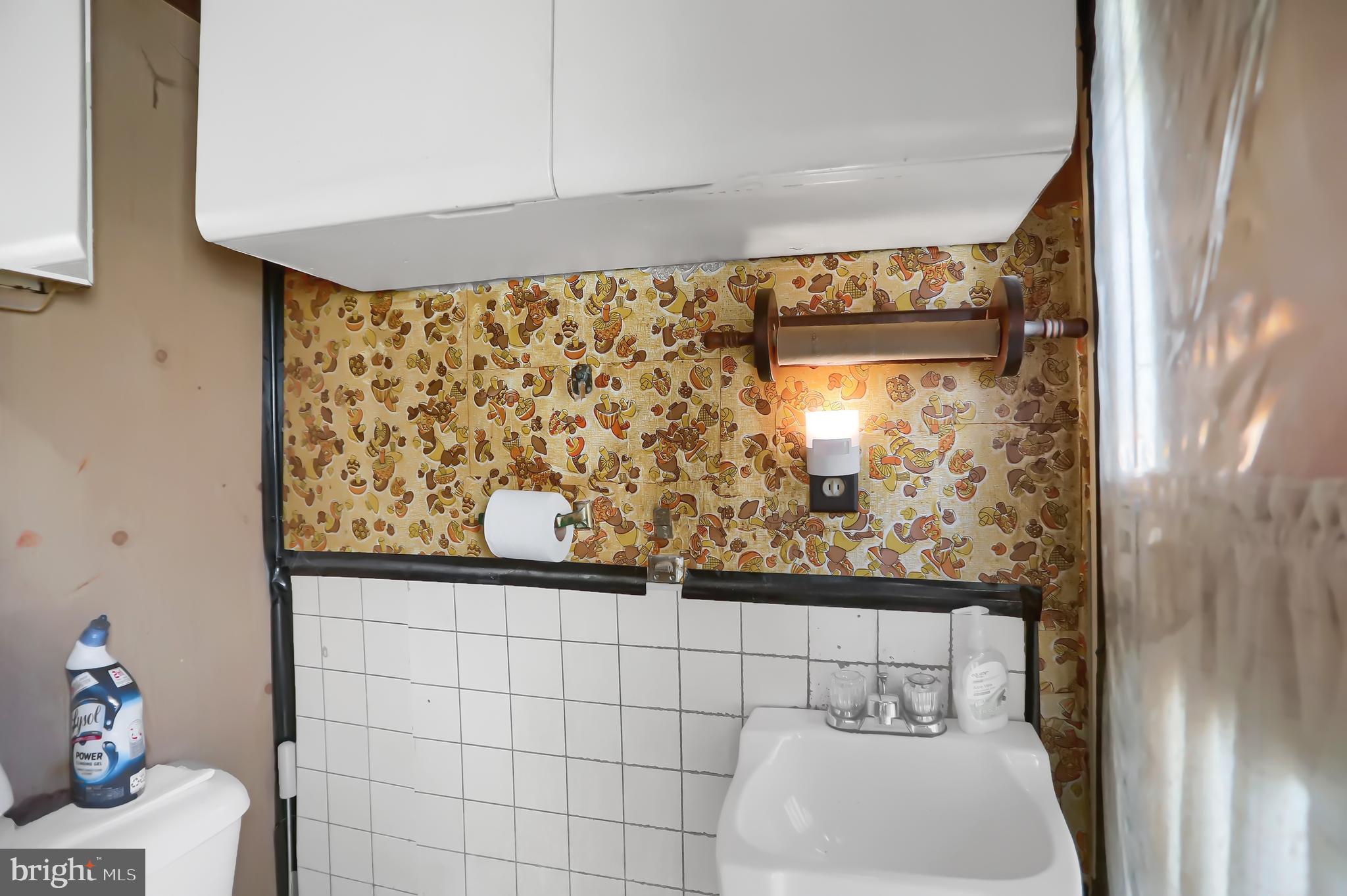 221 Main Street Tremont, PA 17981 - Photo 15 of 53