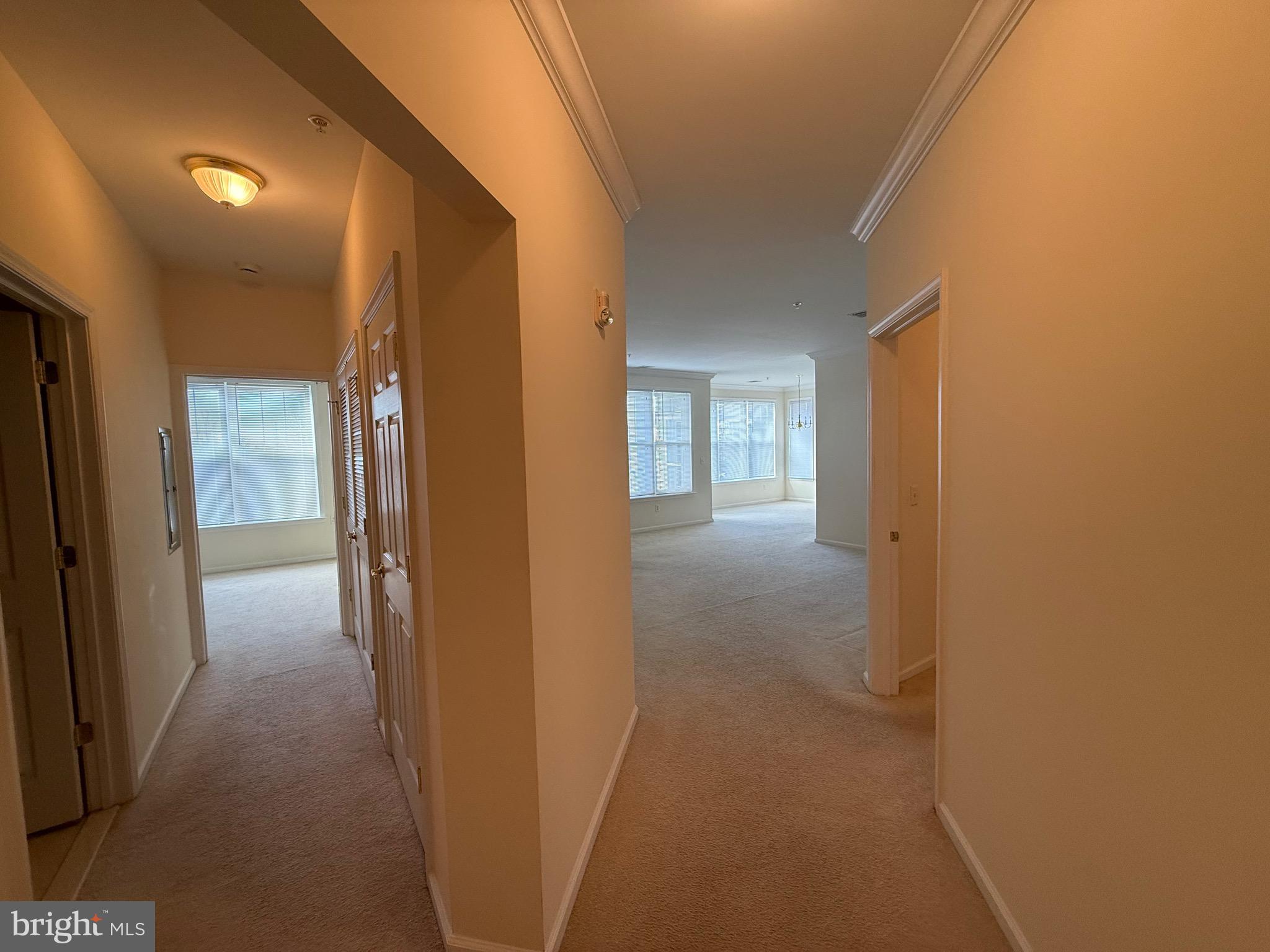 231 Masterson Court Ewing, NJ 08618 - Photo 35 of 43 a view of a hallway with wooden shelves