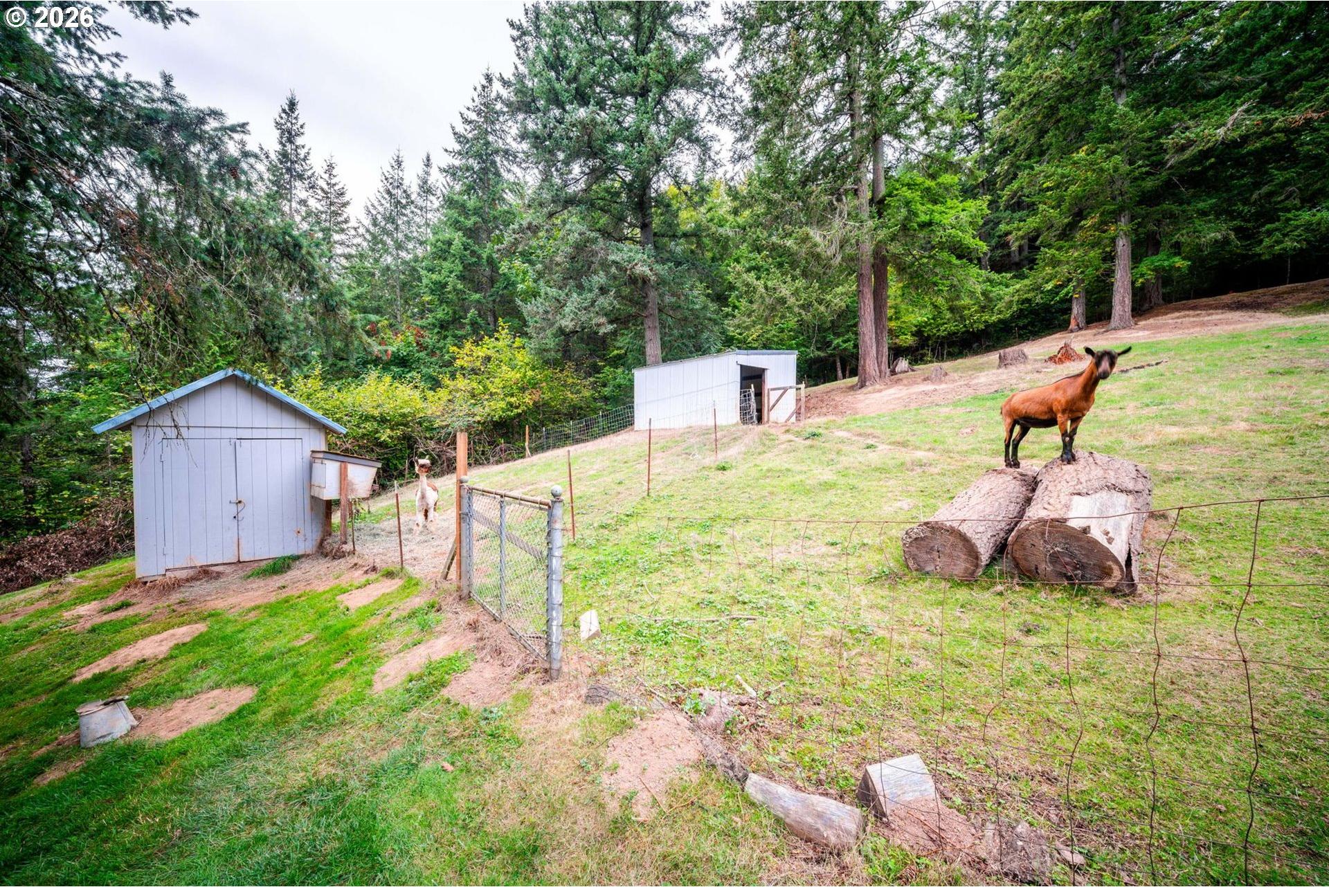 20595 Southeast Borges Road Damascus, OR 97089 - Photo 5 of 38 Gallery Image 5