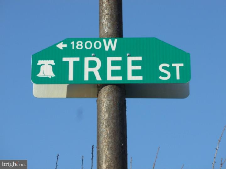1815 Tree Street Philadelphia, PA 19145 - Photo 19 of 20 Gallery Image 19