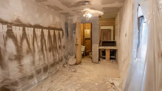 a view of a yard with large trees