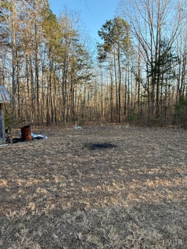 2123 Reverend Coleman Road Clover, VA 24534 - Photo 5 of 6 Gallery Image 5