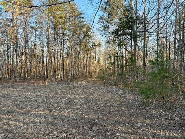 2123 Reverend Coleman Road Clover, VA 24534 - Photo 6 of 6 Gallery Image 6