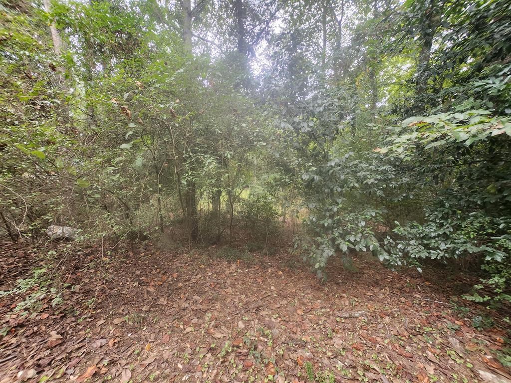 9 Libby Court Columbus, GA 31909 - Photo 42 of 56