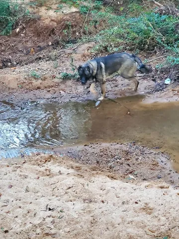 $324,900 | 9 Libby Court, Columbus, GA 31909