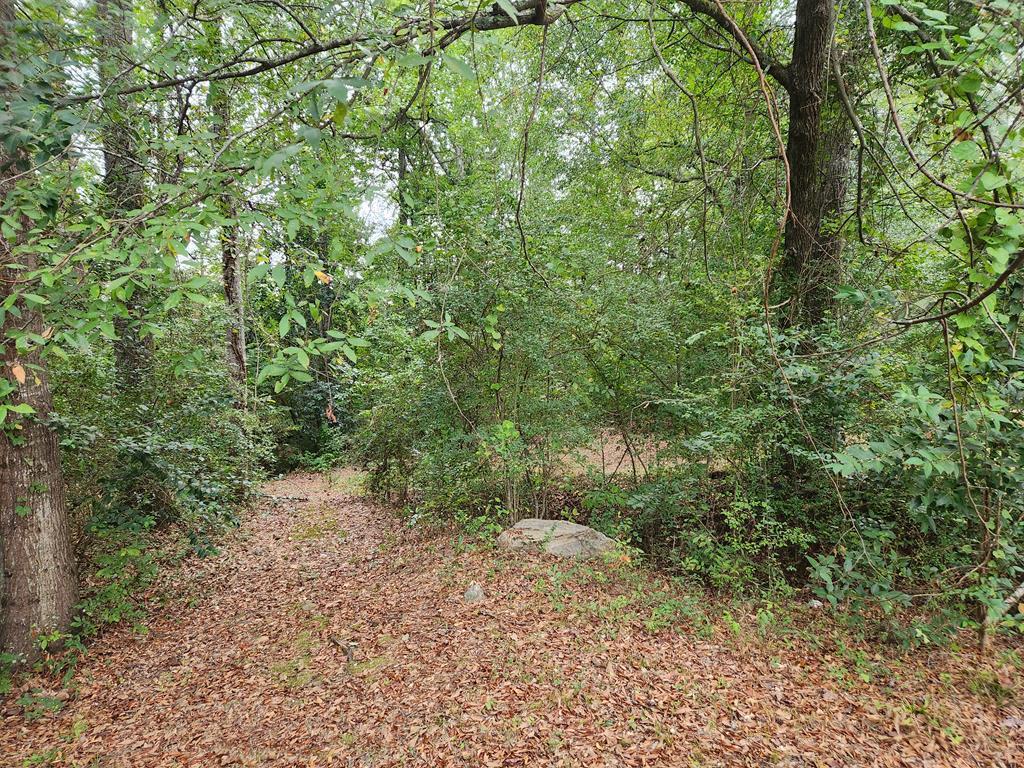 9 Libby Court Columbus, GA 31909 - Photo 49 of 56