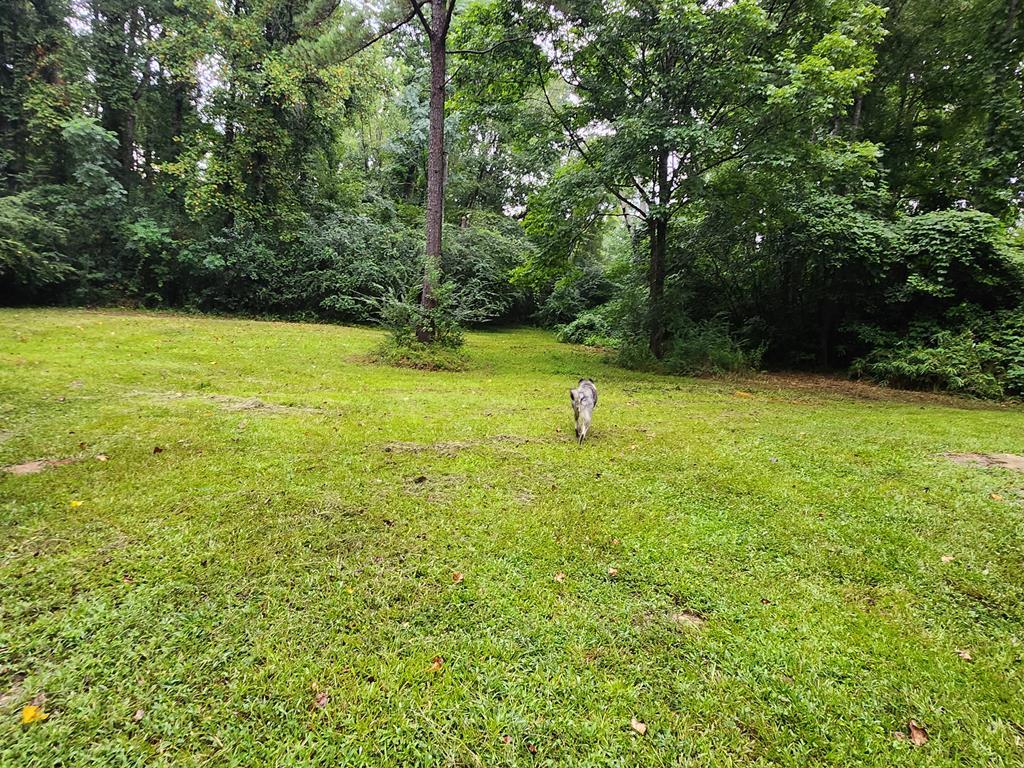 9 Libby Court Columbus, GA 31909 - Photo 52 of 56