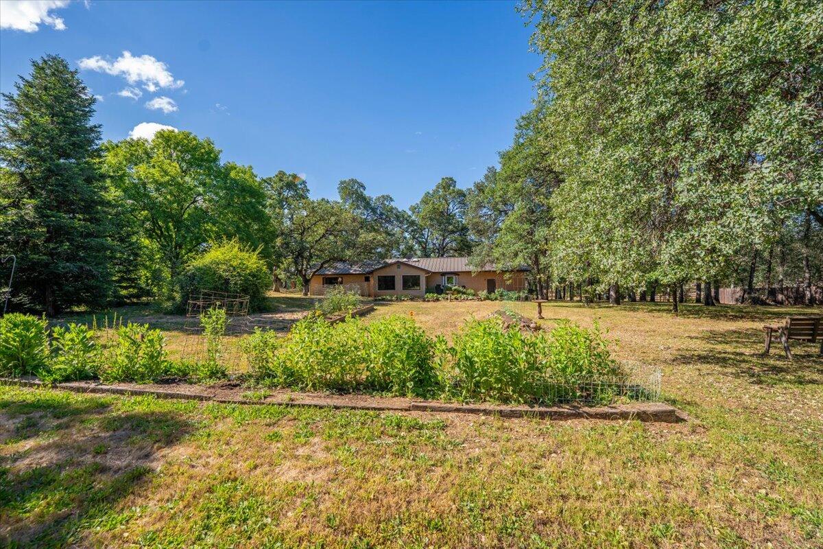 21880 Oak Meadow Road Palo Cedro, CA 96073 - Photo 52 of 79 Backyard