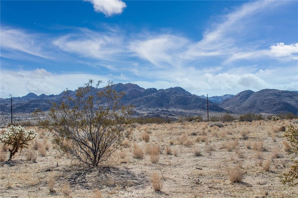 3374 Sunny Hill Road Joshua Tree, CA 92252 - Photo 5 of 7
