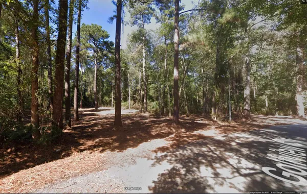$29,500 | Tbd Golfview Circle, Johnsonville, SC 29555