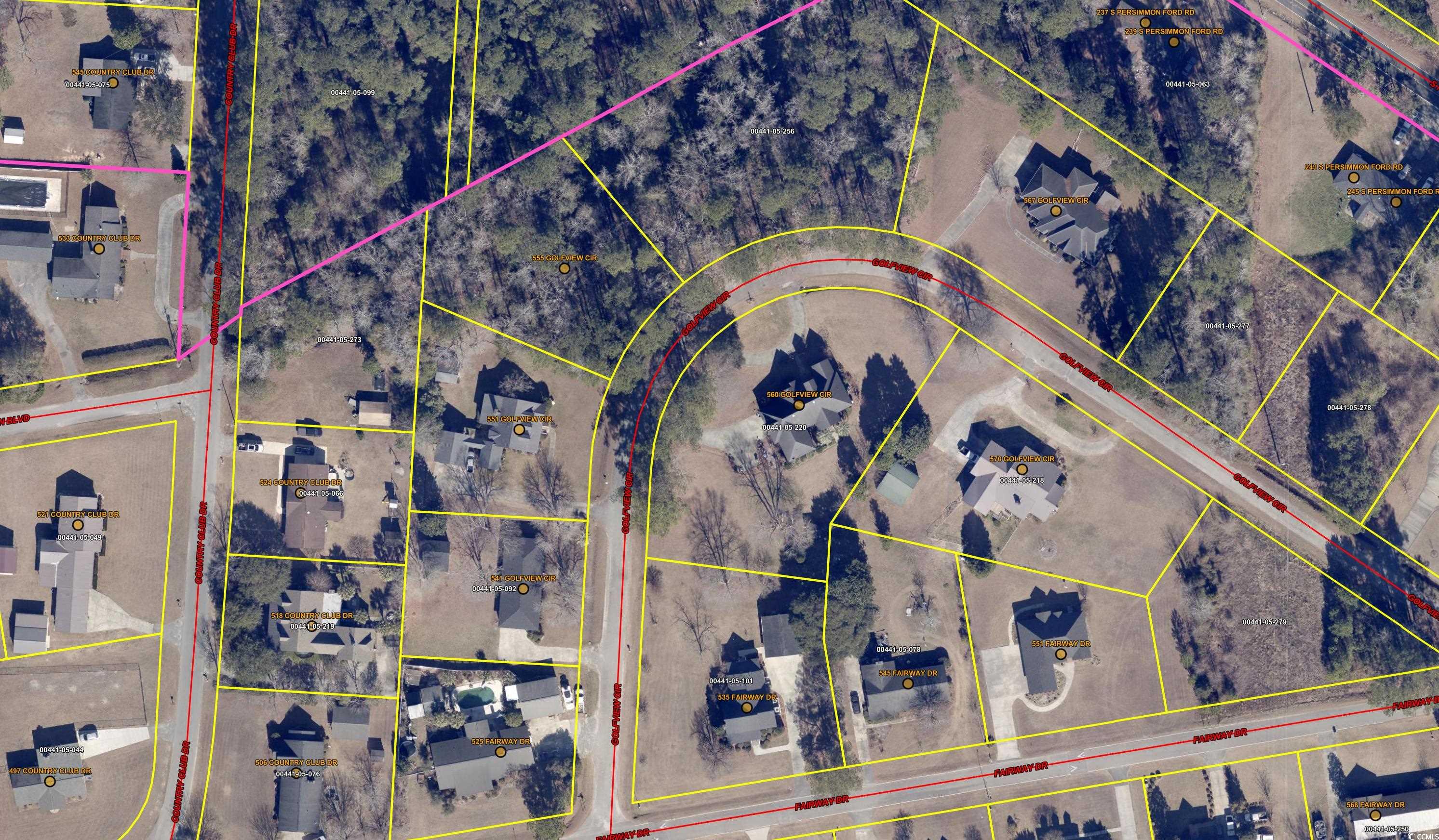 Tbd Golfview Circle Johnsonville, SC 29555 - Photo 2 of 2