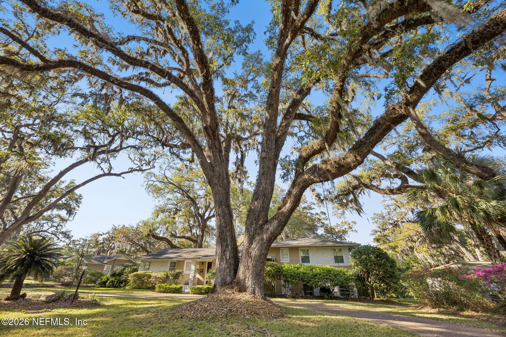 4226 Forest Park Road Jacksonville, FL 32210 - Photo 3 of 86 Exterior