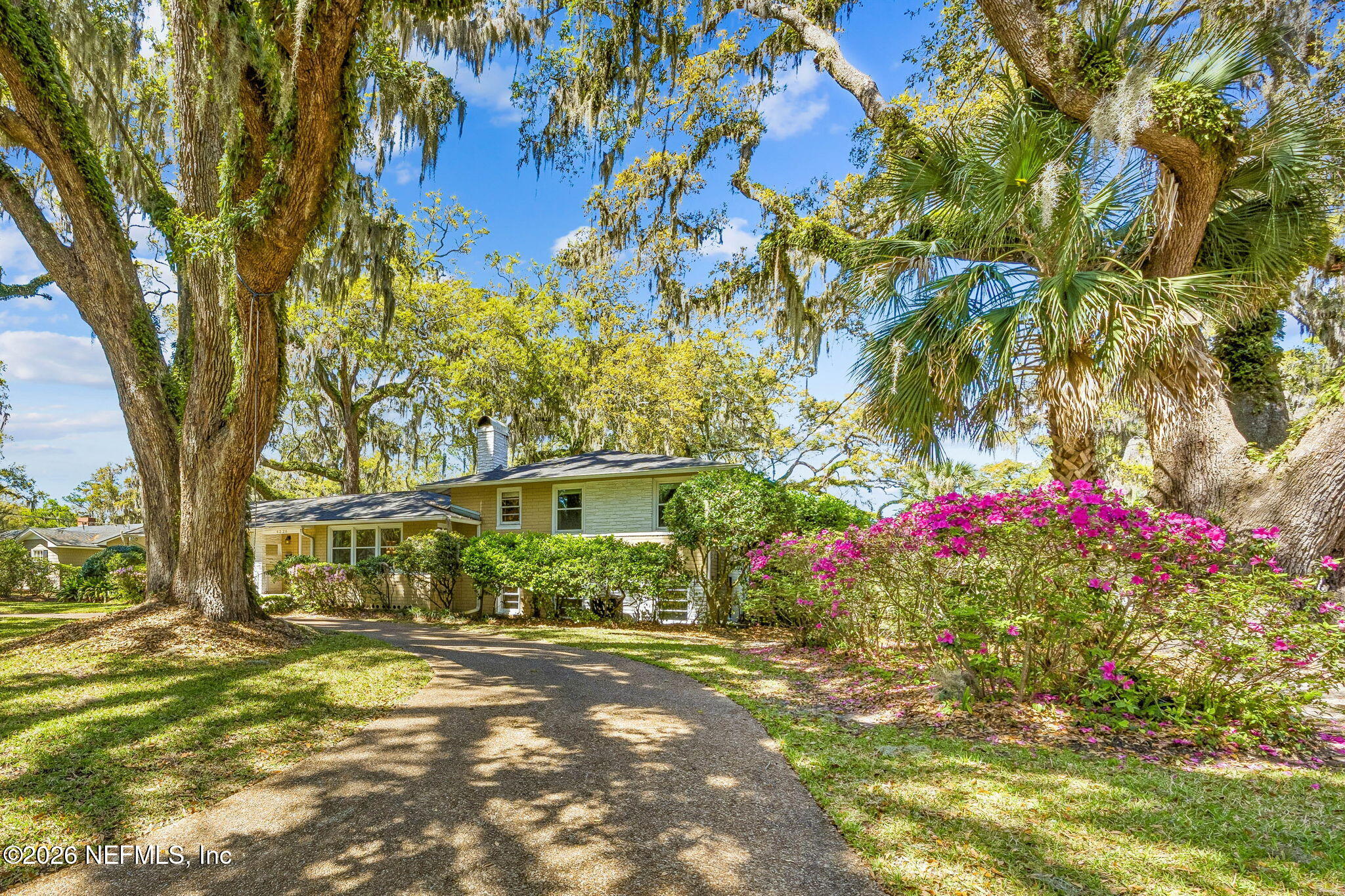 4226 Forest Park Road Jacksonville, FL 32210 - Photo 6 of 86 Exterior