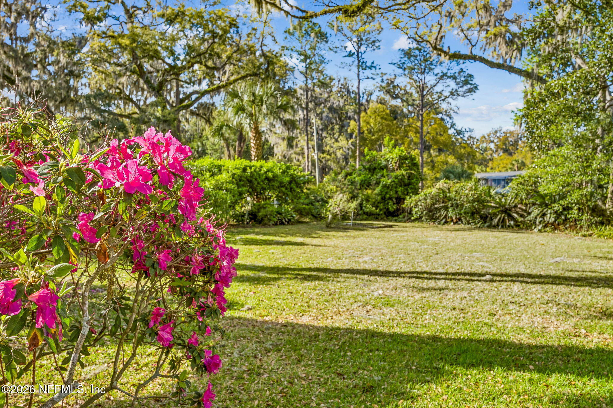 4226 Forest Park Road Jacksonville, FL 32210 - Photo 73 of 86 Backyard