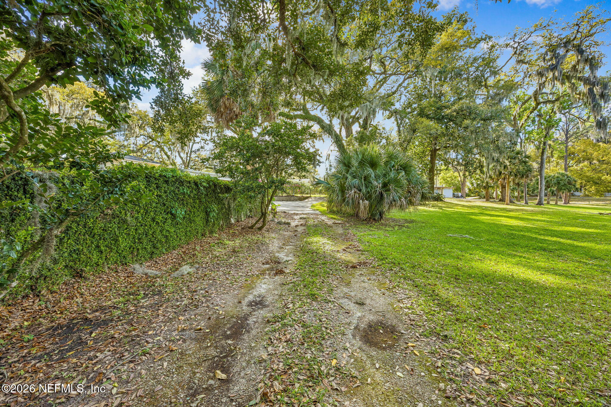 4226 Forest Park Road Jacksonville, FL 32210 - Photo 75 of 86 Driveway off Ortega Blvd