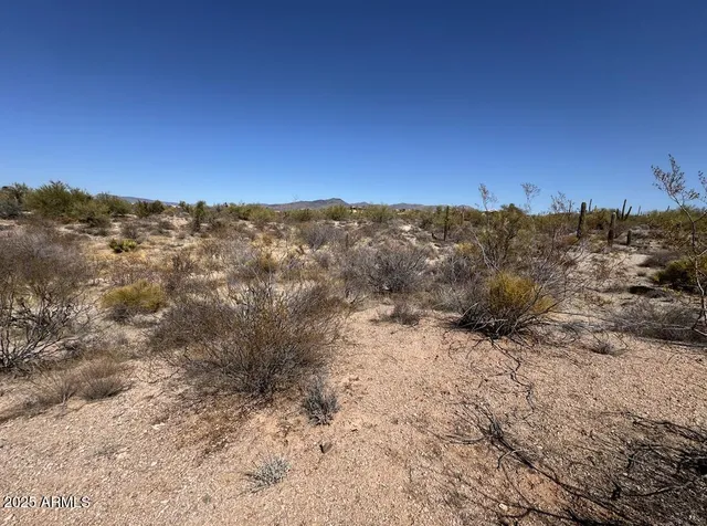 a view of a dry yard with mountains in the background