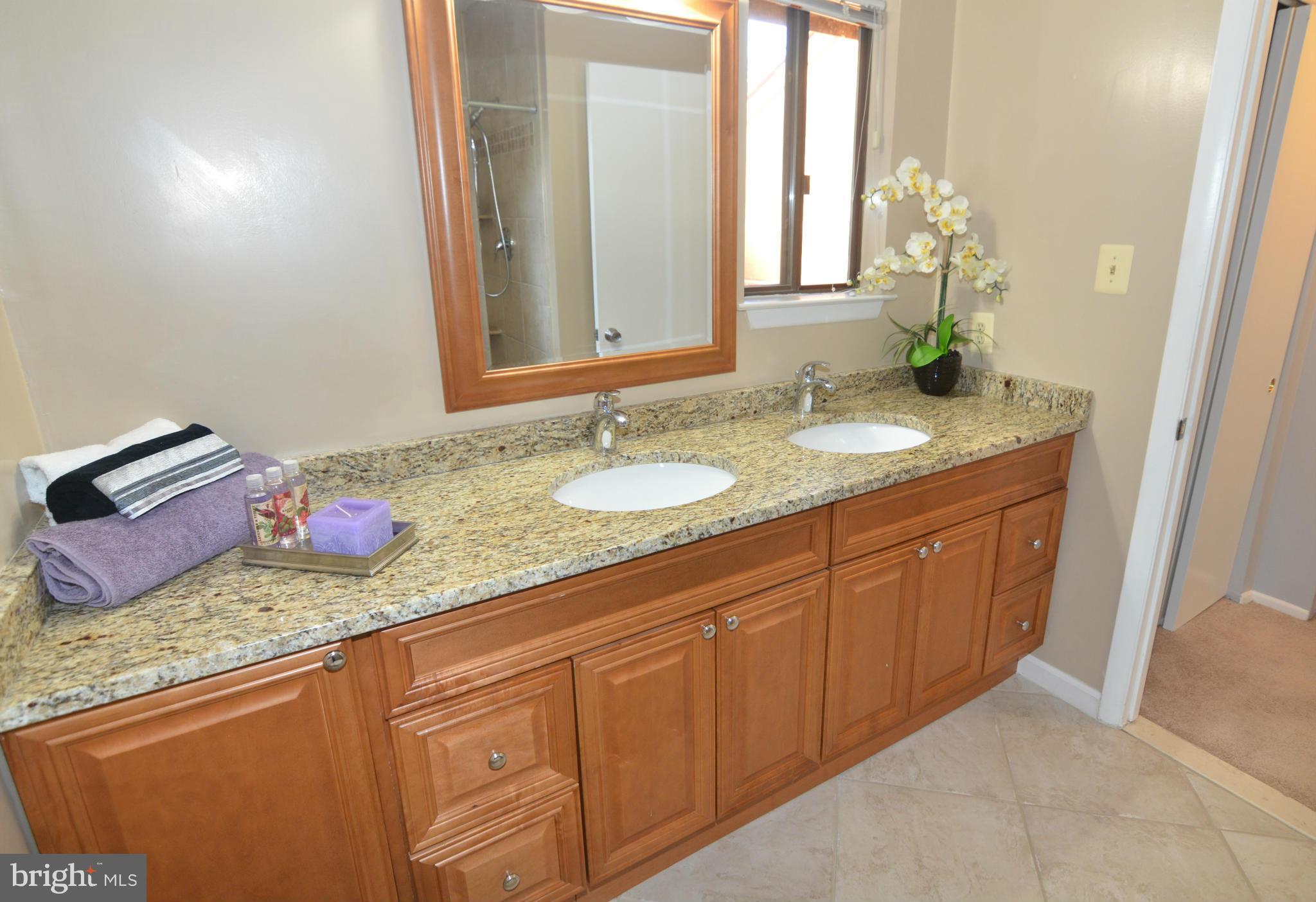 2163 Cabots Point Lane Reston, VA 20191 - Photo 14 of 30 Bath (Master)