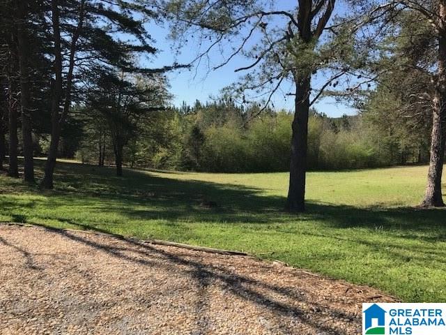 7015 Highway 71 Shelby, AL 35143 - Photo 37 of 50