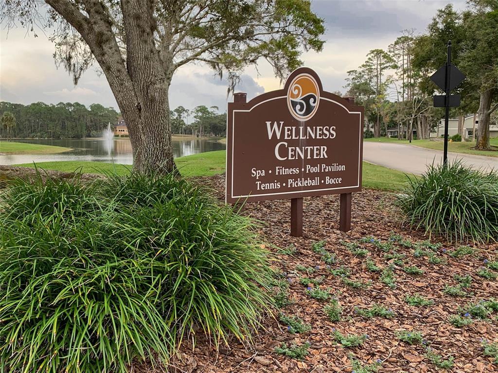 4 Jasmine Run Ormond Beach, FL 32174 - Photo 93 of 96