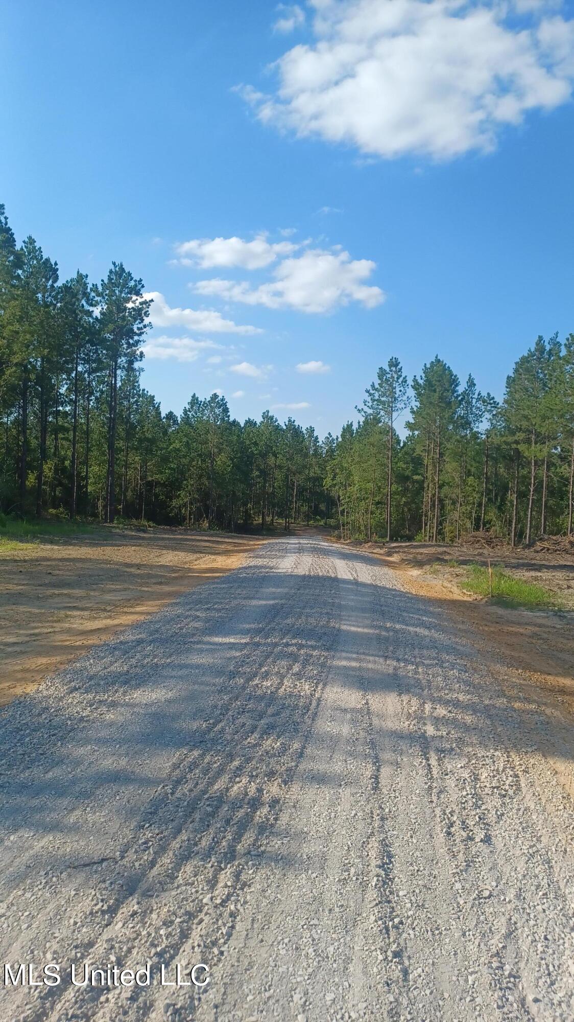 0 West Firetower Road Kiln, MS 39556 - Photo 3 of 8 20240611_172331