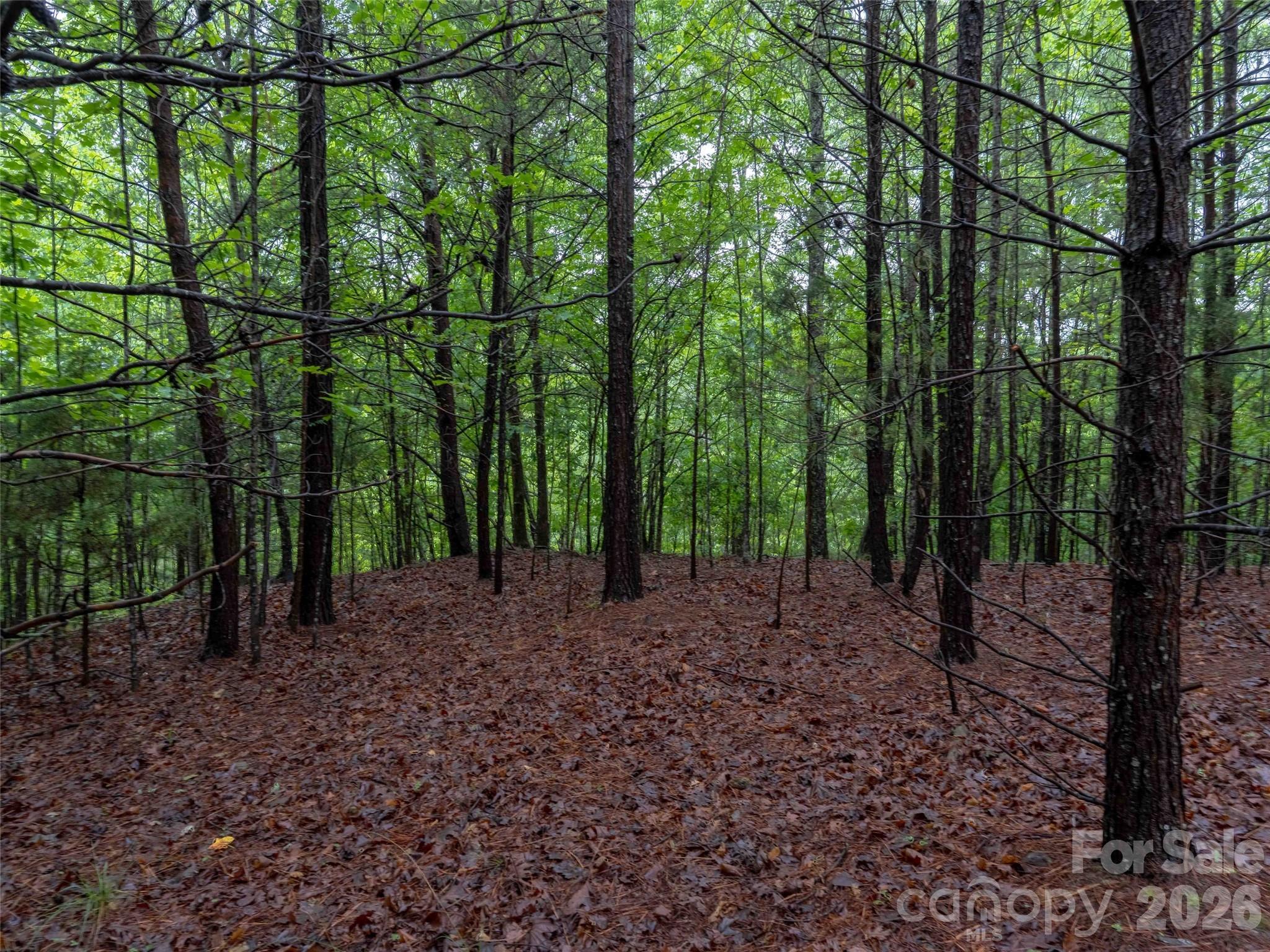 0 Bee Gee Drive Rutherfordton, NC 28139 - Photo 10 of 26