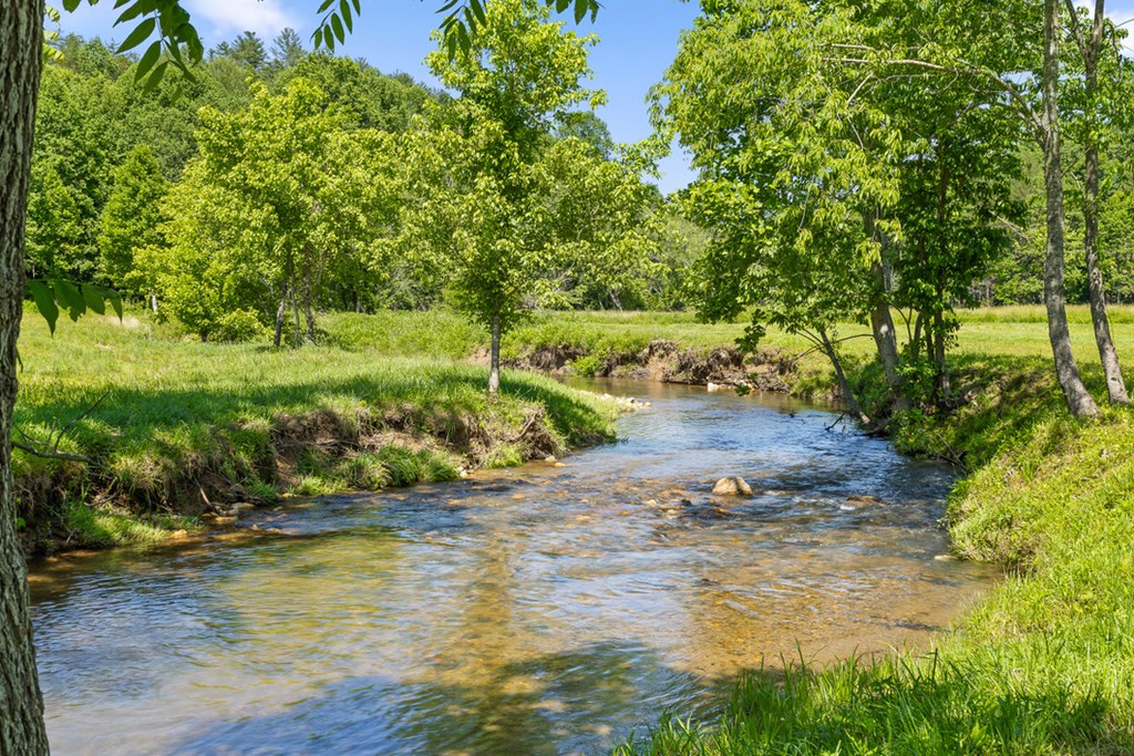 Lot 1 Ridge Drive Morganton, GA 30560 - Photo 5 of 21